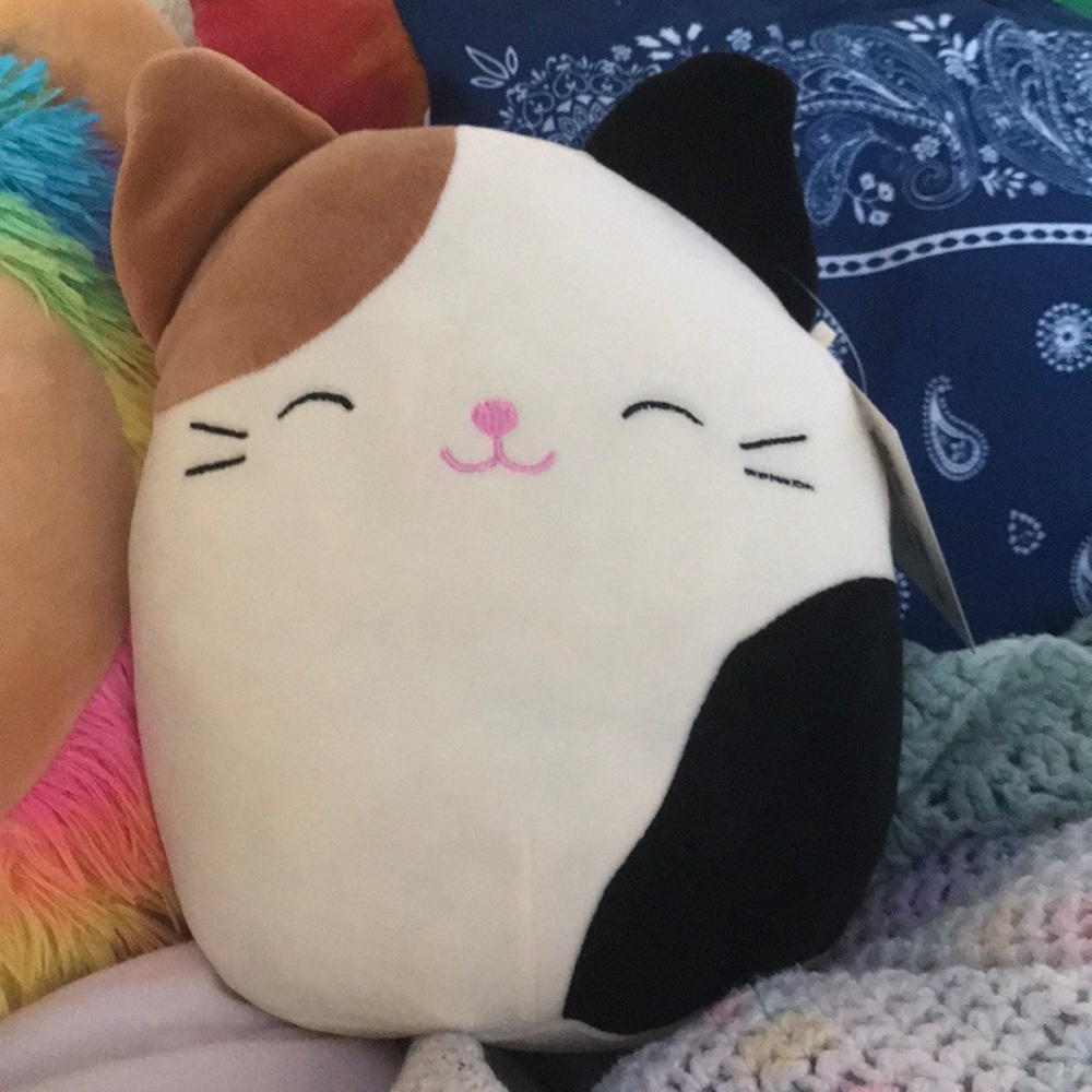 Cam the cat squishmallow